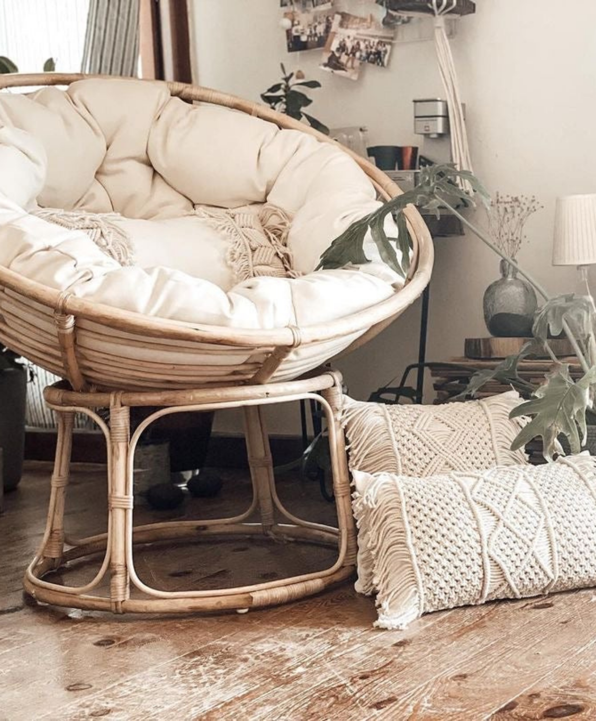 Papasan Chair With Fitted Cushion Pacific Oaks