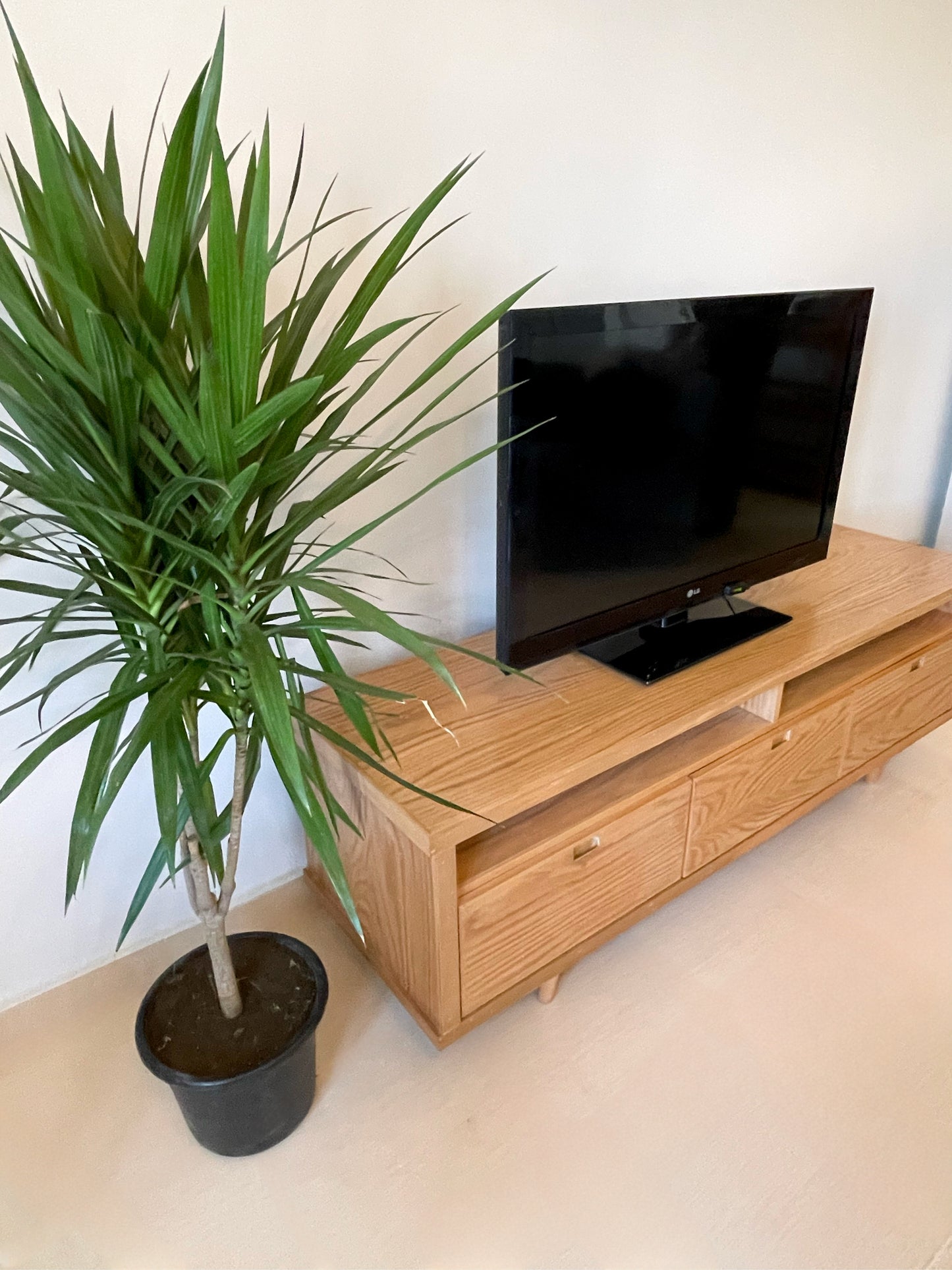 Rustic TV Unit