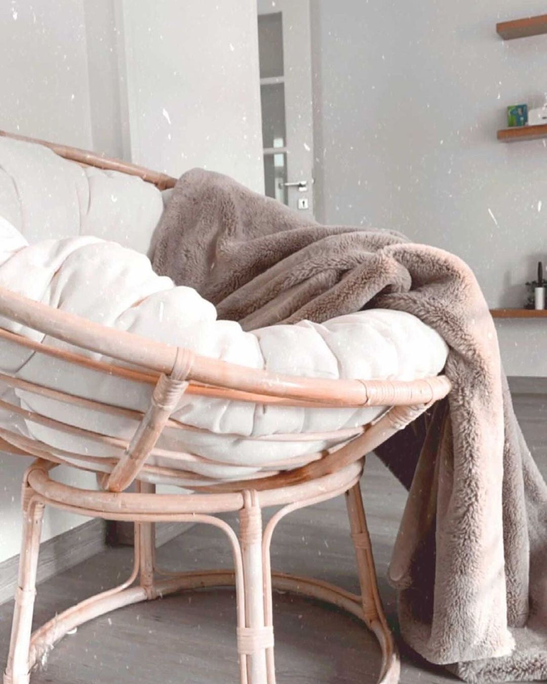 Papasan Chair With Fitted Cushion – Pacific Oaks - Main Image